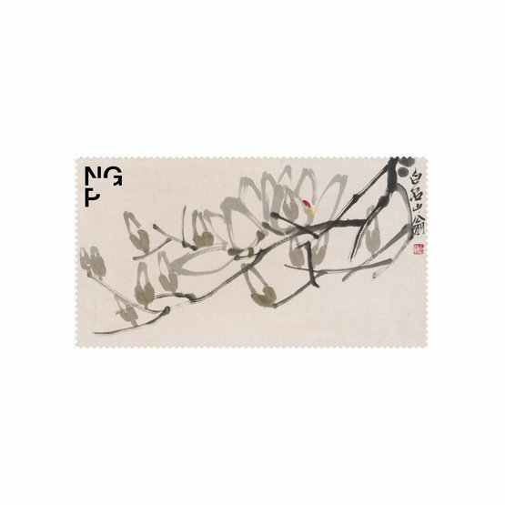 NGP_vizual_hadrik_vetevka_magnolie.jpg