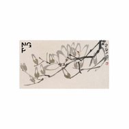 NGP_vizual_hadrik_vetevka_magnolie.jpg